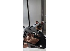 Стул One PC-015 белый фото покупателя 54