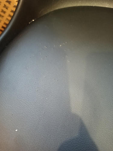 Стул Bonuss blue / wooden legs фото покупателя 9