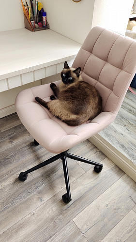 Компьютерное кресло Честер зеленый / черный фото покупателя 5