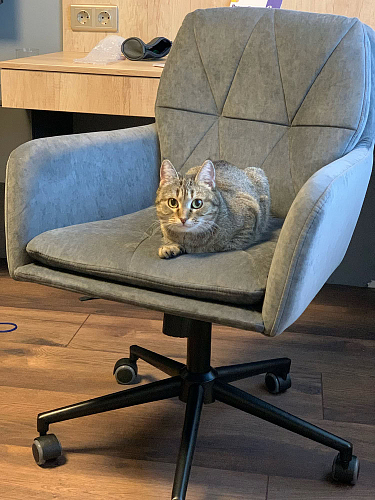 Компьютерное кресло Garda/Гарда синее фото покупателя 4