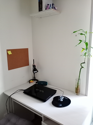 Стол письменный Колибри бодега фото покупателя 122