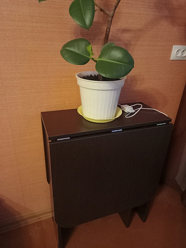 Стол-книжка Мечта дуб сонома фото покупателя 236