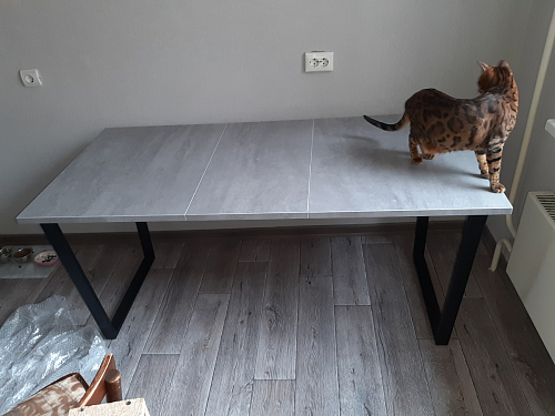 Стол раскладной Лота Лофт 120 25 мм юта / черный матовый фото покупателя 165