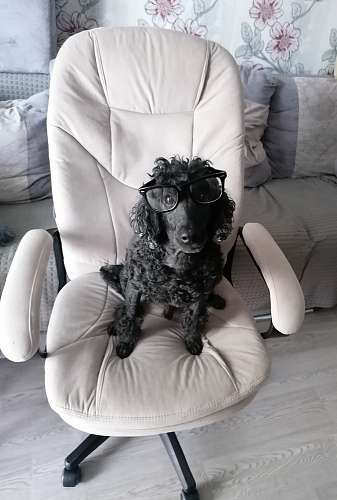 Компьютерное кресло Comfort lux черныq фото покупателя 67