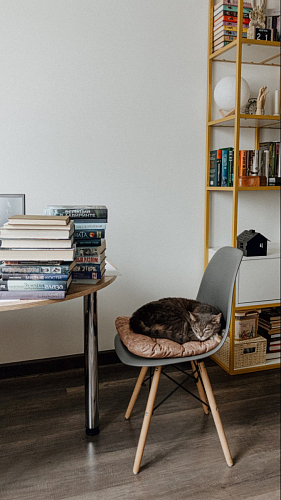 Стул Eames PC-015 blue фото покупателя 157