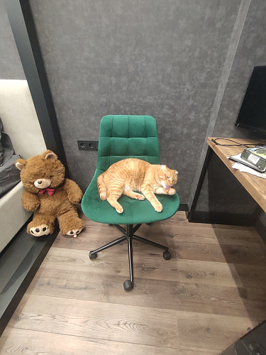 Компьютерное кресло Честер зеленый / черный фото покупателя 11