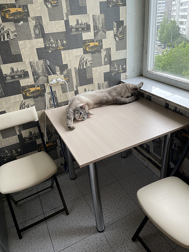 Стол 1 дуб молочный фото покупателя 1