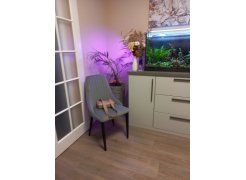 Стул на металлокаркасе Kora white фото покупателя 298