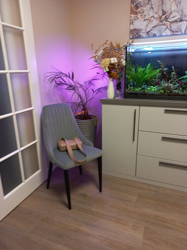 Стул на металлокаркасе Kora light blue / white фото покупателя 298