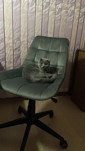 Компьютерное кресло Келми 1 белый фото покупателя 21