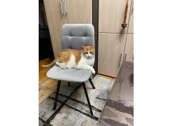 Стул на металлокаркасе Чилли синяя ткань / белый фото покупателя 67