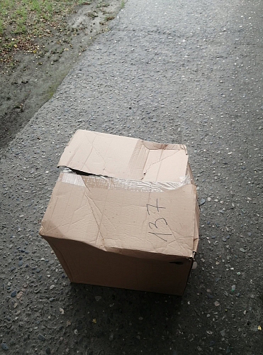 Стул Cindy Eames mod. 001 white / natural фото покупателя 28