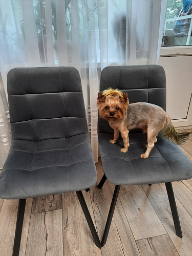 Стул Чилли 2 темно-серый  / черный фото покупателя 726