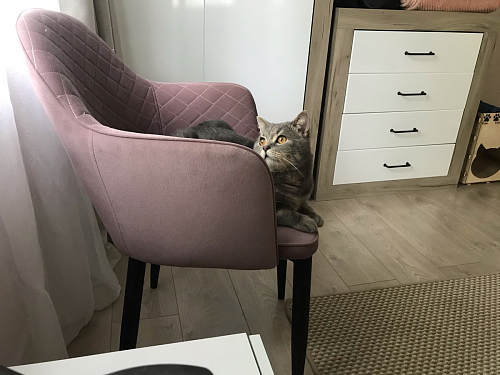 Стул на металлокаркасе Vener green фото покупателя 8