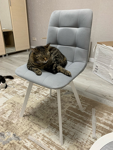 Стул Чилли 2 темно-серый  / черный фото покупателя 924