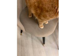 Стул на металлокаркасе Gabi green / black фото покупателя 670