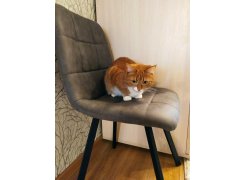 Стул на металлокаркасе Bruk light blue / black фото покупателя 1