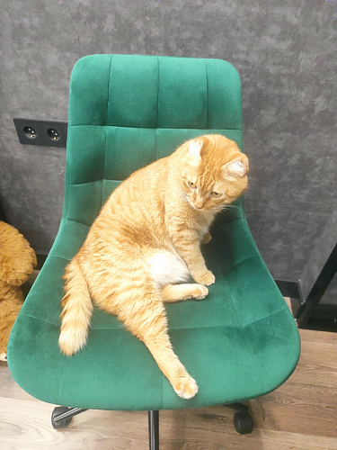 Компьютерное кресло Честер голубой (velutto 47 ) / черный фото покупателя 10