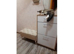 Обувница ТП-2 дуб сонома / белый фото покупателя 3